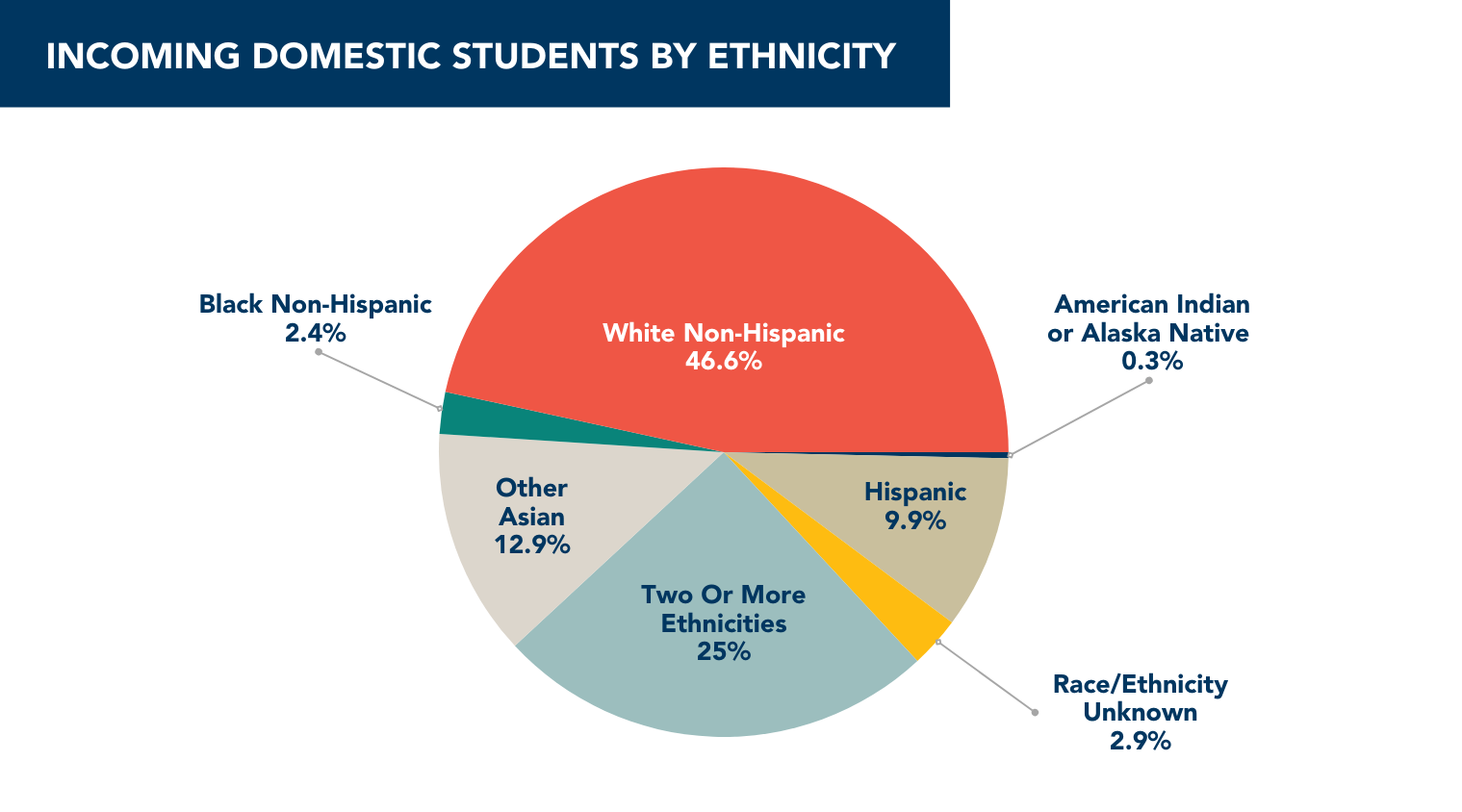 2024 Ethnicity - Domestic New Students