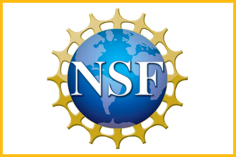 NSF logo